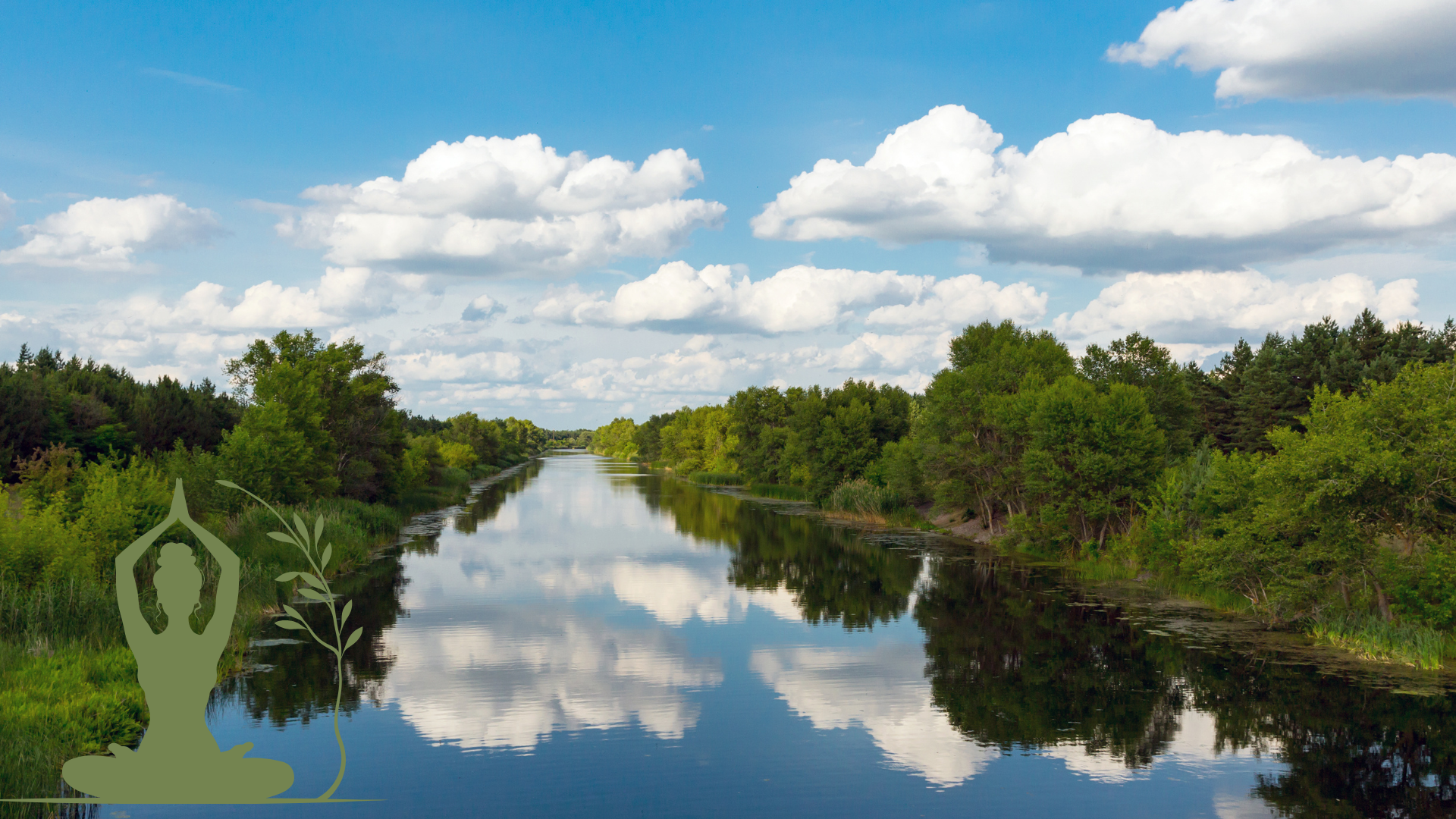להתבונן בטבע כאילו אנחנו עפים