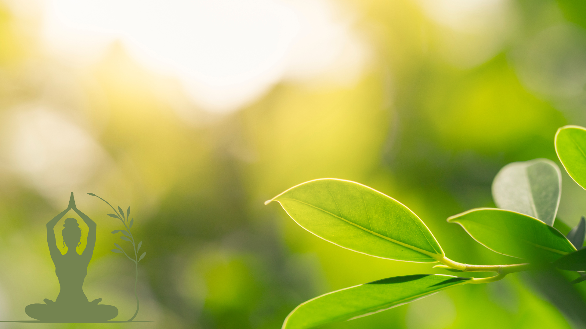 טבע מזוויות ומקומות שונים